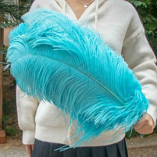 GUOZHAN 10 Stück große Straußenfedern, 15–60 cm, für DIY-Bastelarbeiten, Hochzeit, Tischdekoration, Straußenfedern, Karneval, Party, Bühnenzubehör, Großpackung GUOZHAN 10 Stück große Straußenfedern, 15–60 cm, für DIY-Bastelarbeiten, Hochzeit, Tischdekoration, Straußenfedern, Karneval, Party, Bühnenzubehör, Großpackung von GUOZHAN