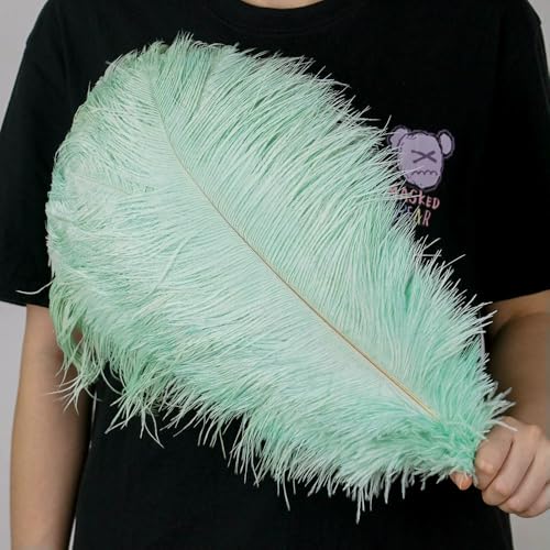 GUOZHAN 10 Stück große Straußenfedern, 15–60 cm, für DIY-Bastelarbeiten, Hochzeit, Tischdekoration, Straußenfedern, Karneval, Party, Bühnenzubehör, Großpackung GUOZHAN 10 Stück große Straußenfedern, 15–60 cm, für DIY-Bastelarbeiten, Hochzeit, Tischdekoration, Straußenfedern, Karneval, Party, Bühnenzubehör, Großpackung von GUOZHAN