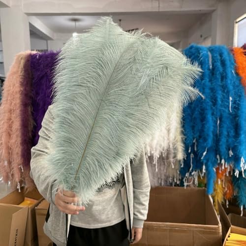 GUOZHAN 10 Stück große Straußenfedern, 15–60 cm, für DIY-Bastelarbeiten, Hochzeit, Tischdekoration, Straußenfedern, Karneval, Party, Bühnenzubehör, Großpackung GUOZHAN 10 Stück große Straußenfedern, 15–60 cm, für DIY-Bastelarbeiten, Hochzeit, Tischdekoration, Straußenfedern, Karneval, Party, Bühnenzubehör, Großpackung von GUOZHAN