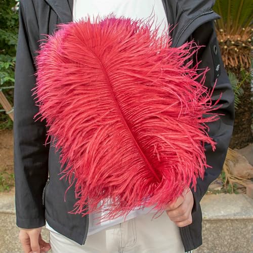 GUOZHAN 10 Stück große Straußenfedern, 15–60 cm, für DIY-Bastelarbeiten, Hochzeit, Tischdekoration, Straußenfedern, Karneval, Party, Bühnenzubehör, Großpackung GUOZHAN 10 Stück große Straußenfedern, 15–60 cm, für DIY-Bastelarbeiten, Hochzeit, Tischdekoration, Straußenfedern, Karneval, Party, Bühnenzubehör, Großpackung von GUOZHAN