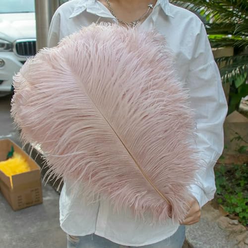 GUOZHAN 10 Stück große Straußenfedern, 15–60 cm, für DIY-Bastelarbeiten, Hochzeit, Tischdekoration, Straußenfedern, Karneval, Party, Bühnenzubehör, Großpackung GUOZHAN 10 Stück große Straußenfedern, 15–60 cm, für DIY-Bastelarbeiten, Hochzeit, Tischdekoration, Straußenfedern, Karneval, Party, Bühnenzubehör, Großpackung von GUOZHAN