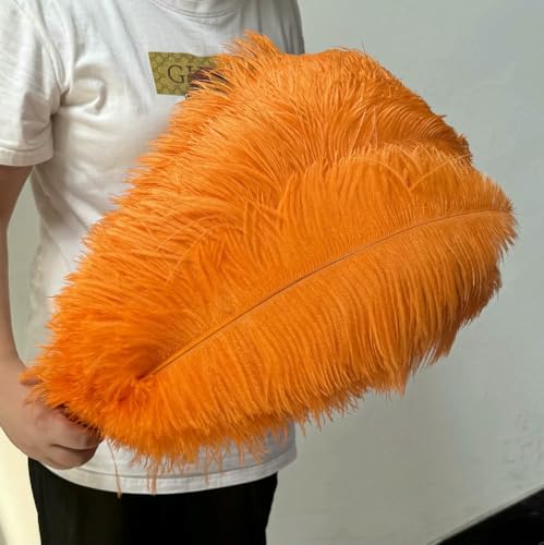 GUOZHAN 10 Stück große Straußenfedern, 15–60 cm, für DIY-Bastelarbeiten, Hochzeit, Tischdekoration, Straußenfedern, Karneval, Party, Bühnenzubehör, Großpackung GUOZHAN 10 Stück große Straußenfedern, 15–60 cm, für DIY-Bastelarbeiten, Hochzeit, Tischdekoration, Straußenfedern, Karneval, Party, Bühnenzubehör, Großpackung von GUOZHAN