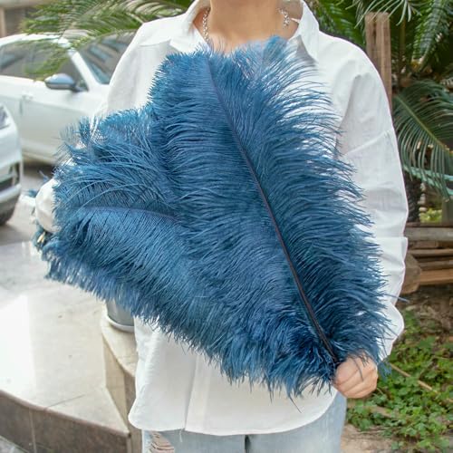 GUOZHAN 10 Stück große Straußenfedern, 15–60 cm, für DIY-Bastelarbeiten, Hochzeit, Tischdekoration, Straußenfedern, Karneval, Party, Bühnenzubehör, Großpackung GUOZHAN 10 Stück große Straußenfedern, 15–60 cm, für DIY-Bastelarbeiten, Hochzeit, Tischdekoration, Straußenfedern, Karneval, Party, Bühnenzubehör, Großpackung von GUOZHAN