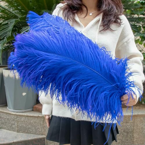 GUOZHAN 10 Stück große Straußenfedern, 15–60 cm, für DIY-Bastelarbeiten, Hochzeit, Tischdekoration, Straußenfedern, Karneval, Party, Bühnenzubehör, Großpackung GUOZHAN 10 Stück große Straußenfedern, 15–60 cm, für DIY-Bastelarbeiten, Hochzeit, Tischdekoration, Straußenfedern, Karneval, Party, Bühnenzubehör, Großpackung von GUOZHAN