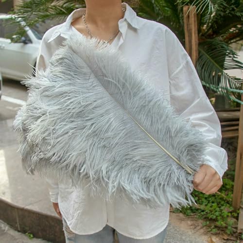 GUOZHAN 10 Stück große Straußenfedern, 15–60 cm, für DIY-Bastelarbeiten, Hochzeit, Tischdekoration, Straußenfedern, Karneval, Party, Bühnenzubehör, Großpackung GUOZHAN 10 Stück große Straußenfedern, 15–60 cm, für DIY-Bastelarbeiten, Hochzeit, Tischdekoration, Straußenfedern, Karneval, Party, Bühnenzubehör, Großpackung von GUOZHAN