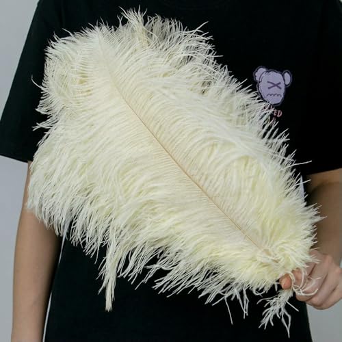 GUOZHAN 10 Stück große Straußenfedern, 15–60 cm, für DIY-Bastelarbeiten, Hochzeit, Tischdekoration, Straußenfedern, Karneval, Party, Bühnenzubehör, Großpackung GUOZHAN 10 Stück große Straußenfedern, 15–60 cm, für DIY-Bastelarbeiten, Hochzeit, Tischdekoration, Straußenfedern, Karneval, Party, Bühnenzubehör, Großpackung von GUOZHAN