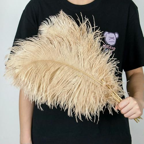 GUOZHAN 10 Stück große Straußenfedern, 15–60 cm, für DIY-Bastelarbeiten, Hochzeit, Tischdekoration, Straußenfedern, Karneval, Party, Bühnenzubehör, Großpackung GUOZHAN 10 Stück große Straußenfedern, 15–60 cm, für DIY-Bastelarbeiten, Hochzeit, Tischdekoration, Straußenfedern, Karneval, Party, Bühnenzubehör, Großpackung von GUOZHAN