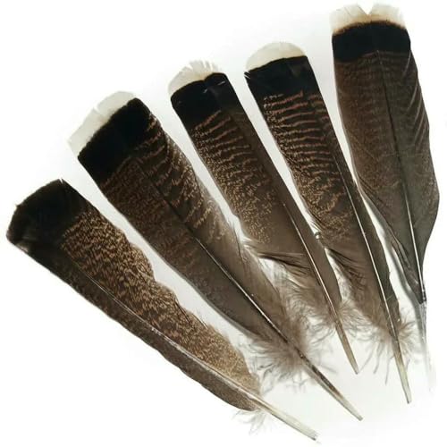 GUOZHAN 10 Teile/los Adler Vogel Fasan Federn für Handwerk DIY Traum Catcher Schmuck Machen Dekoration Zubehör Plumes 25-30cm GUOZHAN 10 Teile/los Adler Vogel Fasan Federn für Handwerk DIY Traum Catcher Schmuck Machen Dekoration Zubehör Plumes 25-30cm von GUOZHAN