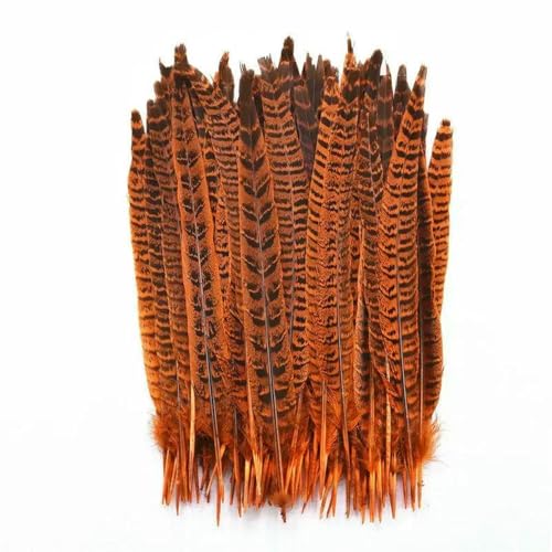 GUOZHAN 10 Teile/los Natürliche Farbige Weibliche Fasan Federn für Dekoration 25-30cm Handwerk Zubehör Fasan Feder Decor DIY Karneval GUOZHAN 10 Teile/los Natürliche Farbige Weibliche Fasan Federn für Dekoration 25-30cm Handwerk Zubehör Fasan Feder Decor DIY Karneval von GUOZHAN