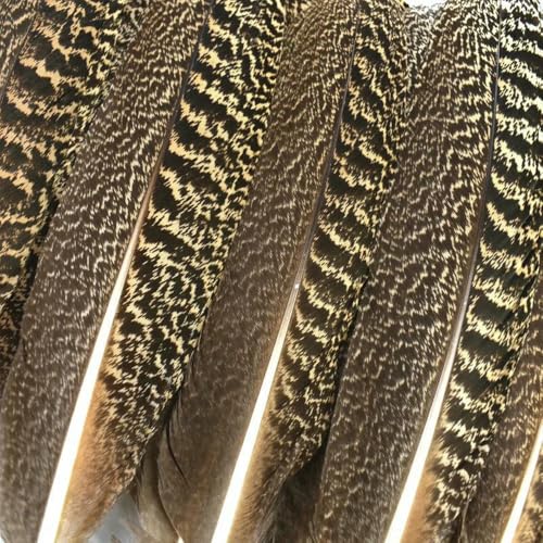 GUOZHAN 10 Teile/los Natürliche Pfau Vogel Federn für Dekoration 25-40CM Adler Fasan Feder Handwerk Karneval Hochzeit Party Zubehör GUOZHAN 10 Teile/los Natürliche Pfau Vogel Federn für Dekoration 25-40CM Adler Fasan Feder Handwerk Karneval Hochzeit Party Zubehör von GUOZHAN