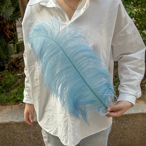 GUOZHAN 10 Teile/los Natürliche Weiße Straußenfedern 15-50 cm Große Plumas für Hochzeit Dekoration Straußenfedern Tafelaufsatz Handwerk GUOZHAN 10 Teile/los Natürliche Weiße Straußenfedern 15-50 cm Große Plumas für Hochzeit Dekoration Straußenfedern Tafelaufsatz Handwerk von GUOZHAN