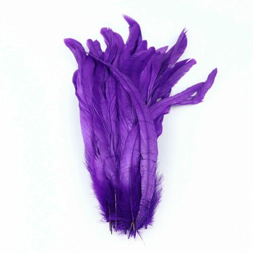 GUOZHAN 100 STÜCKE Echte Hahnenschwanzfedern Schwarz Weiß 25-45 cm Natürliche Federn für DIY Hahn Kleidung Schmuck Party Dekoration GUOZHAN 100 STÜCKE Echte Hahnenschwanzfedern Schwarz Weiß 25-45 cm Natürliche Federn für DIY Hahn Kleidung Schmuck Party Dekoration von GUOZHAN