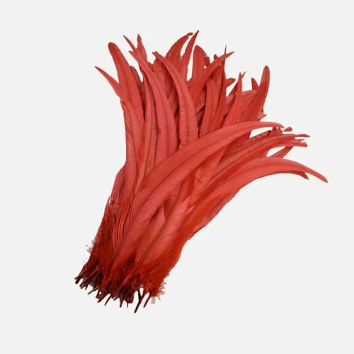 GUOZHAN 100 Stück 25–45 cm farbige Hahnenfedern Party Kopfbedeckung Kleidung Zubehör Schwarze Federn Handwerk DIY Home Hochzeit Schmuck Dekor GUOZHAN 100 Stück 25–45 cm farbige Hahnenfedern Party Kopfbedeckung Kleidung Zubehör Schwarze Federn Handwerk DIY Home Hochzeit Schmuck Dekor von GUOZHAN