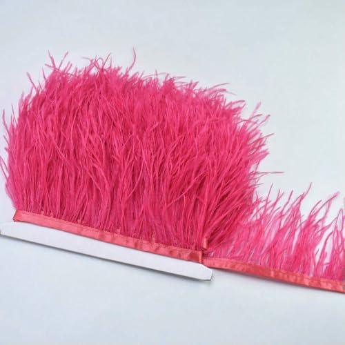GUOZHAN 100 cm 8–10 cm Bunte Straußenfedern zum Selbermachen, Basteln, Federn, Nähen, Kleidung, weiße Federn, Band, Hochzeit, Party, Dekoration GUOZHAN 100 cm 8–10 cm Bunte Straußenfedern zum Selbermachen, Basteln, Federn, Nähen, Kleidung, weiße Federn, Band, Hochzeit, Party, Dekoration von GUOZHAN