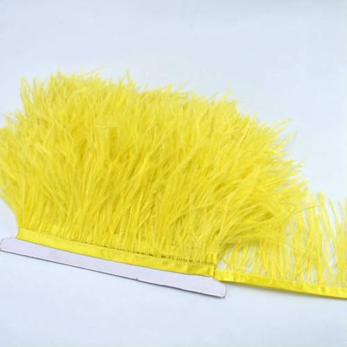 GUOZHAN 100 cm 8–10 cm Bunte Straußenfedern zum Selbermachen, Basteln, Federn, Nähen, Kleidung, weiße Federn, Band, Hochzeit, Party, Dekoration GUOZHAN 100 cm 8–10 cm Bunte Straußenfedern zum Selbermachen, Basteln, Federn, Nähen, Kleidung, weiße Federn, Band, Hochzeit, Party, Dekoration von GUOZHAN