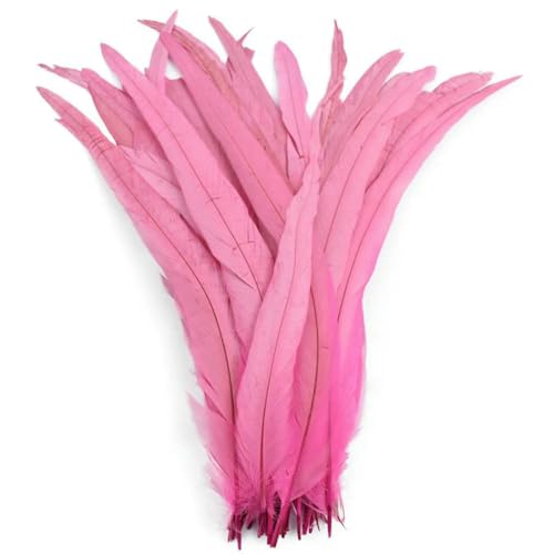 GUOZHAN 100 stücke 25-40 cm Rooster Federn Hochzeit Handwerk DIY Natürliche Feder Handarbeit Party Plume Karneval Headwear Dekoration GUOZHAN 100 stücke 25-40 cm Rooster Federn Hochzeit Handwerk DIY Natürliche Feder Handarbeit Party Plume Karneval Headwear Dekoration von GUOZHAN