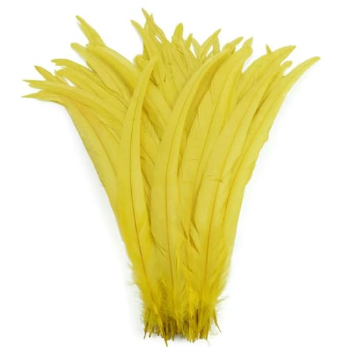 GUOZHAN 100 stücke 25-40 cm Rooster Federn Hochzeit Handwerk DIY Natürliche Feder Handarbeit Party Plume Karneval Headwear Dekoration GUOZHAN 100 stücke 25-40 cm Rooster Federn Hochzeit Handwerk DIY Natürliche Feder Handarbeit Party Plume Karneval Headwear Dekoration von GUOZHAN