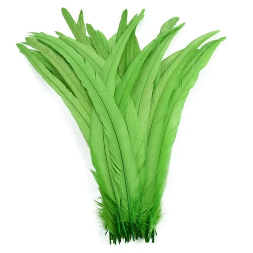 GUOZHAN 100 stücke 25-40 cm Rooster Federn Hochzeit Handwerk DIY Natürliche Feder Handarbeit Party Plume Karneval Headwear Dekoration GUOZHAN 100 stücke 25-40 cm Rooster Federn Hochzeit Handwerk DIY Natürliche Feder Handarbeit Party Plume Karneval Headwear Dekoration von GUOZHAN