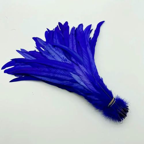 GUOZHAN 100 stücke Rooster Schwanzfedern Schwärzlich Grün 25-45cm Natürliche Federn Beige DIY Cock Kleidung Schmuck Zubehör Party GUOZHAN 100 stücke Rooster Schwanzfedern Schwärzlich Grün 25-45cm Natürliche Federn Beige DIY Cock Kleidung Schmuck Zubehör Party von GUOZHAN