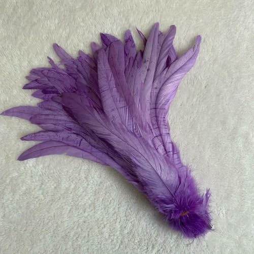 GUOZHAN 100 stücke Rooster Schwanzfedern Schwärzlich Grün 25-45cm Natürliche Federn Beige DIY Cock Kleidung Schmuck Zubehör Party GUOZHAN 100 stücke Rooster Schwanzfedern Schwärzlich Grün 25-45cm Natürliche Federn Beige DIY Cock Kleidung Schmuck Zubehör Party von GUOZHAN