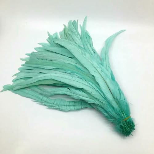 GUOZHAN 100 stücke Rooster Schwanzfedern Schwärzlich Grün 25-45cm Natürliche Federn Beige DIY Cock Kleidung Schmuck Zubehör Party GUOZHAN 100 stücke Rooster Schwanzfedern Schwärzlich Grün 25-45cm Natürliche Federn Beige DIY Cock Kleidung Schmuck Zubehör Party von GUOZHAN