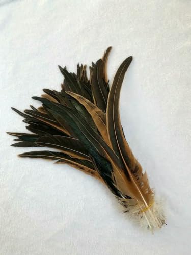 GUOZHAN 100 stücke Rooster Schwanzfedern Schwärzlich Grün 25-45cm Natürliche Federn Beige DIY Cock Kleidung Schmuck Zubehör Party GUOZHAN 100 stücke Rooster Schwanzfedern Schwärzlich Grün 25-45cm Natürliche Federn Beige DIY Cock Kleidung Schmuck Zubehör Party von GUOZHAN