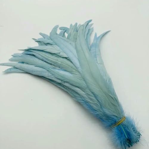 GUOZHAN 100 stücke Rooster Schwanzfedern Schwärzlich Grün 25-45cm Natürliche Federn Beige DIY Cock Kleidung Schmuck Zubehör Party GUOZHAN 100 stücke Rooster Schwanzfedern Schwärzlich Grün 25-45cm Natürliche Federn Beige DIY Cock Kleidung Schmuck Zubehör Party von GUOZHAN