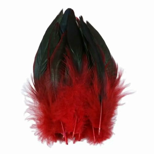 GUOZHAN 15-20CM Natürliche Fasan Feder Handwerk DIY Karneval Zubehör 50 Teile/los Huhn Federn Handwerk Schmuck Dekoration Plumes GUOZHAN 15-20CM Natürliche Fasan Feder Handwerk DIY Karneval Zubehör 50 Teile/los Huhn Federn Handwerk Schmuck Dekoration Plumes von GUOZHAN