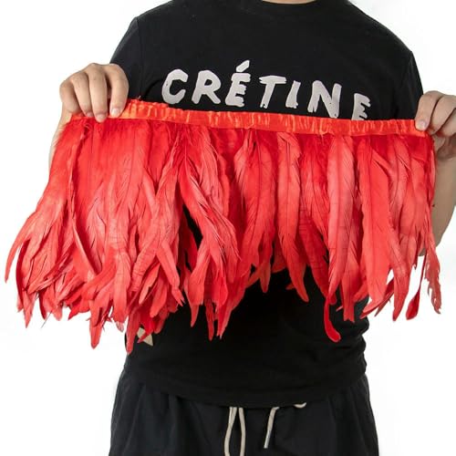 GUOZHAN 2 Meter Bunte Hahnenschwanzfedern, Besatz, 25–30 cm/10–12 Zoll, Fasanenfeder-Fransenband für Karnevals-Federdekoration GUOZHAN 2 Meter Bunte Hahnenschwanzfedern, Besatz, 25–30 cm/10–12 Zoll, Fasanenfeder-Fransenband für Karnevals-Federdekoration von GUOZHAN