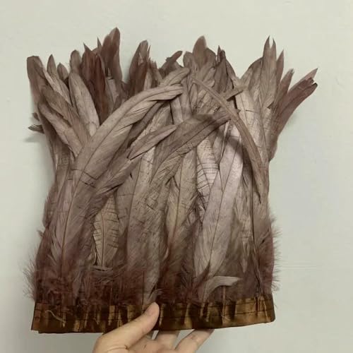 GUOZHAN 25-30 cm/10-12 Zoll Rooster Tail Feathers Trimmt 10 Meter Rot Grün Rosa Kleid DIY Dekoration zubehör Für Handwerk Band Plume GUOZHAN 25-30 cm/10-12 Zoll Rooster Tail Feathers Trimmt 10 Meter Rot Grün Rosa Kleid DIY Dekoration zubehör Für Handwerk Band Plume von GUOZHAN
