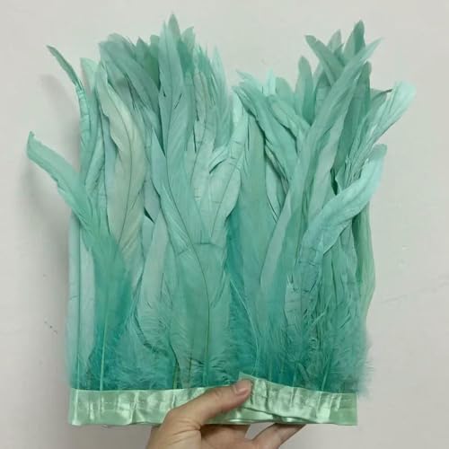 GUOZHAN 25-30 cm/10-12 Zoll Rooster Tail Feathers Trimmt 10 Meter Rot Grün Rosa Kleid DIY Dekoration zubehör Für Handwerk Band Plume GUOZHAN 25-30 cm/10-12 Zoll Rooster Tail Feathers Trimmt 10 Meter Rot Grün Rosa Kleid DIY Dekoration zubehör Für Handwerk Band Plume von GUOZHAN