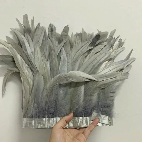 GUOZHAN 25-30 cm/10-12 Zoll Rooster Tail Feathers Trimmt 10 Meter Rot Grün Rosa Kleid DIY Dekoration zubehör Für Handwerk Band Plume GUOZHAN 25-30 cm/10-12 Zoll Rooster Tail Feathers Trimmt 10 Meter Rot Grün Rosa Kleid DIY Dekoration zubehör Für Handwerk Band Plume von GUOZHAN