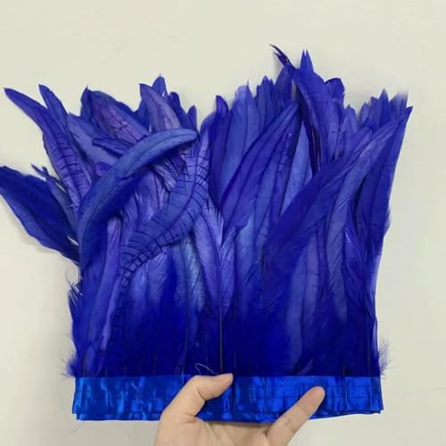 GUOZHAN 25-30 cm/10-12 Zoll Rooster Tail Feathers Trimmt 10 Meter Rot Grün Rosa Kleid DIY Dekoration zubehör Für Handwerk Band Plume GUOZHAN 25-30 cm/10-12 Zoll Rooster Tail Feathers Trimmt 10 Meter Rot Grün Rosa Kleid DIY Dekoration zubehör Für Handwerk Band Plume von GUOZHAN