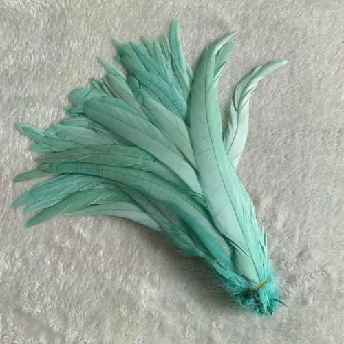 GUOZHAN 500 STÜCKE Hahnenschwanzfedern 14-16 Zoll 35-40 cm 25-30 cm 30-35 cm Für Farbige Kostüm GUOZHAN 500 STÜCKE Hahnenschwanzfedern 14-16 Zoll 35-40 cm 25-30 cm 30-35 cm Für Farbige Kostüm von GUOZHAN