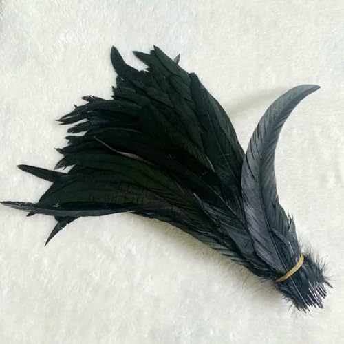 GUOZHAN 500 STÜCKE Hahnenschwanzfedern 14-16 Zoll 35-40 cm 25-30 cm 30-35 cm Für Farbige Kostüm GUOZHAN 500 STÜCKE Hahnenschwanzfedern 14-16 Zoll 35-40 cm 25-30 cm 30-35 cm Für Farbige Kostüm von GUOZHAN