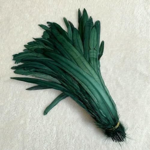GUOZHAN 500 STÜCKE Hahnenschwanzfedern 14-16 Zoll 35-40 cm 25-30 cm 30-35 cm Für Farbige Kostüm GUOZHAN 500 STÜCKE Hahnenschwanzfedern 14-16 Zoll 35-40 cm 25-30 cm 30-35 cm Für Farbige Kostüm von GUOZHAN