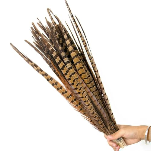 GUOZHAN Mehrfarbige Fasanenschwanzfedern 40–45 cm, DIY-Bastelschmuck, Partykostüm, Karneval, Hühnerfeder, Kopfschmuck, Dekoration GUOZHAN Mehrfarbige Fasanenschwanzfedern 40–45 cm, DIY-Bastelschmuck, Partykostüm, Karneval, Hühnerfeder, Kopfschmuck, Dekoration von GUOZHAN