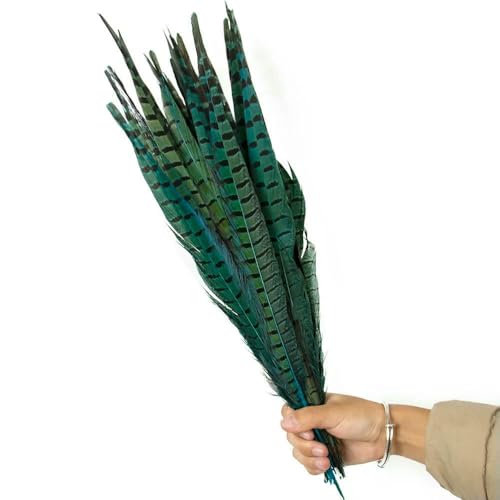 GUOZHAN Mehrfarbige Fasanenschwanzfedern 40–45 cm, DIY-Bastelschmuck, Partykostüm, Karneval, Hühnerfeder, Kopfschmuck, Dekoration GUOZHAN Mehrfarbige Fasanenschwanzfedern 40–45 cm, DIY-Bastelschmuck, Partykostüm, Karneval, Hühnerfeder, Kopfschmuck, Dekoration von GUOZHAN