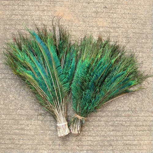 GUOZHAN Natürliche Pfauenschwertfedern 30–35 cm für DIY Basteln Dekor Karneval Kreation Party Hochzeit Home Schmuck Federn Bulk GUOZHAN Natürliche Pfauenschwertfedern 30–35 cm für DIY Basteln Dekor Karneval Kreation Party Hochzeit Home Schmuck Federn Bulk von GUOZHAN