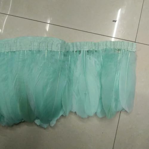 GUOZHAN Stoffgürtel aus Gänsefedern, 2 Yards, gefärbte Bänder aus Gänsefedern, 15–20 cm lang, Stoffgürtel aus Gänsefedern, für Tanzkleider, Hüte, DIY-Dekoration GUOZHAN Stoffgürtel aus Gänsefedern, 2 Yards, gefärbte Bänder aus Gänsefedern, 15–20 cm lang, Stoffgürtel aus Gänsefedern, für Tanzkleider, Hüte, DIY-Dekoration von GUOZHAN