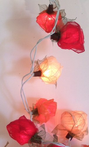 GURU SHOP Blüten LED Lichterkette 20 Stk. - Rose Rot/weiß/orange, Skeletttblätter, 6x6x350 cm, Lichterketten von GURU SHOP