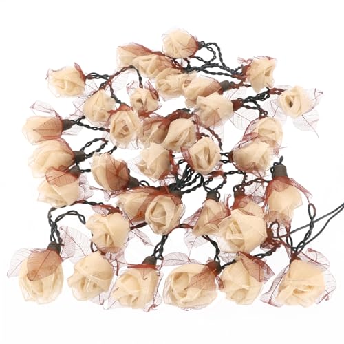GURU SHOP Blüten LED Lichterkette mit Schalter - 35 Stk Rose Weiß von GURU SHOP