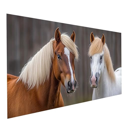 GUUOYUAL Diamond Painting Erwachsene Tier 5D DIY Set Malen Nach Zahlen Erwachsene mit Strasssteine 200 x 100CM Diamant Painting Bilder Horse, Diamond Leinwand Bilder Stickerei Embroidery Kit GYL7605 GUUOYUAL Diamond Painting Erwachsene Tier 5D DIY Set Malen Nach Zahlen Erwachsene mit Strasssteine 200 x 100CM Diamant Painting Bilder Horse, Diamond Leinwand Bilder Stickerei Embroidery Kit GYL7605 von GUUOYUAL