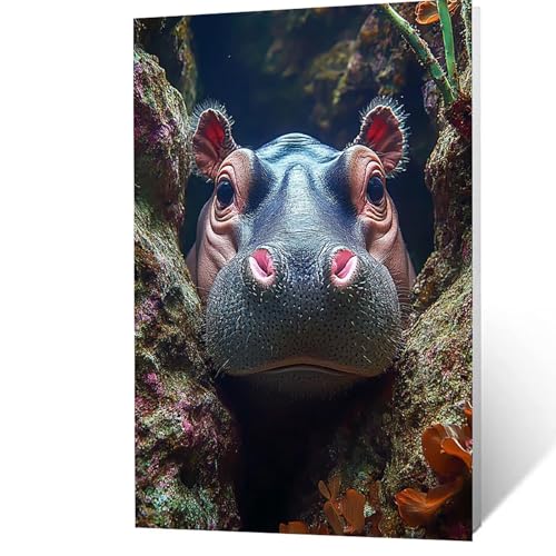 Malen Nach Zahlen Erwachsene, Malen Nach Zahlen Nilpferd, DIY Set Erwachsene mit Leinwand Bilder Tier 95 x 70 cm Acrylfarben Set Pinselset, Wandbilder Bastelset Deko Wohnzimmer Geschenke YH2F-2775 Malen Nach Zahlen Erwachsene, Malen Nach Zahlen Nilpferd, DIY Set Erwachsene mit Leinwand Bilder Tier 95 x 70 cm Acrylfarben Set Pinselset, Wandbilder Bastelset Deko Wohnzimmer Geschenke YH2F-2775 von GUUOYUAL