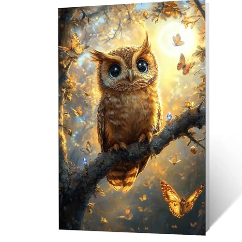 Malen Nach Zahlen Erwachsene 50x70 cm, Malen Nach Zahlen Kinder Eule, DIY Basteln Erwachsene Leinwand Bilder Schmetterling, Paint by Numbers for Adults, Deko Wohnzimmer Geschenke für Frauen YH2F-3451 von GUUOYUAL