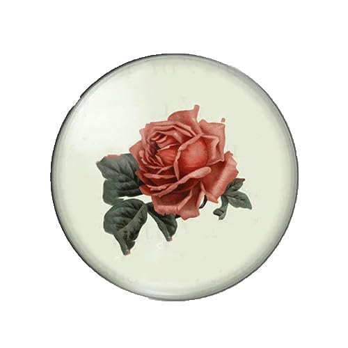 Schöne Vintage-Rosenbilder, Blumenmuster, 12 mm/18 mm/20 mm/25 mm, rund, Foto-Glas-Cabochon, Demo, flache Rückseite, Herstellung von Befunden, F-8 mm Schöne Vintage-Rosenbilder, Blumenmuster, 12 mm/18 mm/20 mm/25 mm, rund, Foto-Glas-Cabochon, Demo, flache Rückseite, Herstellung von Befunden, F-8 mm von GVEKJ