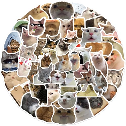 GWAWG 100 Stück lustige Katzen-Aufkleber-Set, Kätzchen-Aufkleber, niedliche Katzen-Aufkleber, Einwegaufkleber, ästhetische, wasserdichte Aufkleber für Gitarre, Buch, Koffer, Wasserflaschen, Laptop, GWAWG 100 Stück lustige Katzen-Aufkleber-Set, Kätzchen-Aufkleber, niedliche Katzen-Aufkleber, Einwegaufkleber, ästhetische, wasserdichte Aufkleber für Gitarre, Buch, Koffer, Wasserflaschen, Laptop, von GWAWG