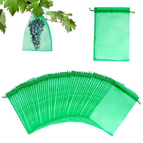 Schutzbeutel für Trauben,GWAWG 60 Stücke Frucht-Schutzbeutel, Trauben Schutzbeutel Organzabeutel mit Zugband 30x20cm,Zum Schutz vor Wespenfrass, Vögeln, Kirschessigfliegen und Anderen Insekten Schutzbeutel für Trauben,GWAWG 60 Stücke Frucht-Schutzbeutel, Trauben Schutzbeutel Organzabeutel mit Zugband 30x20cm,Zum Schutz vor Wespenfrass, Vögeln, Kirschessigfliegen und Anderen Insekten von GWAWG