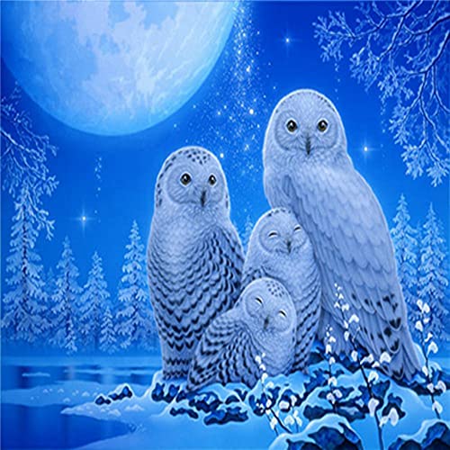 GWYDYB DIY 5D Diamond Painting Set - Tier Schneeeule - Stickerei Kreuzstich Strass Bilder Kunst Wanddekoration 40×50cm GWYDYB DIY 5D Diamond Painting Set - Tier Schneeeule - Stickerei Kreuzstich Strass Bilder Kunst Wanddekoration 40×50cm von GWYDYB