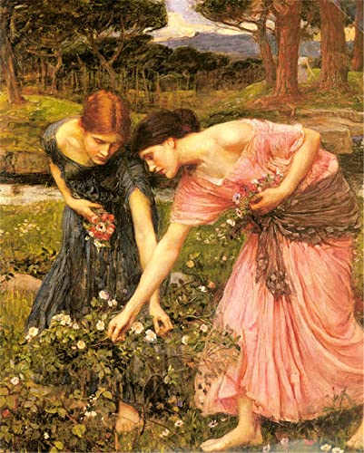 DIY 5D Diamond Painting Sets, Berühmte Gemälde von John William Waterhouse - Es gibt Blumen, die es wert sind, gerade gefaltet zu werden - Wanddekoration 40×50cm von GWYDYB